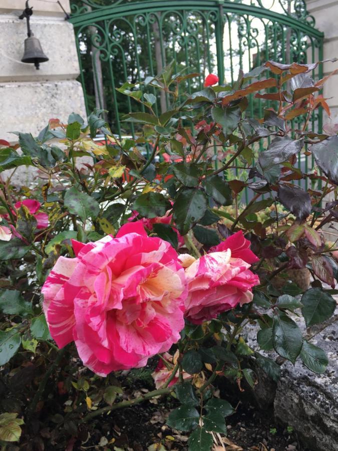 Seur La Valiniere B&B 외부 사진